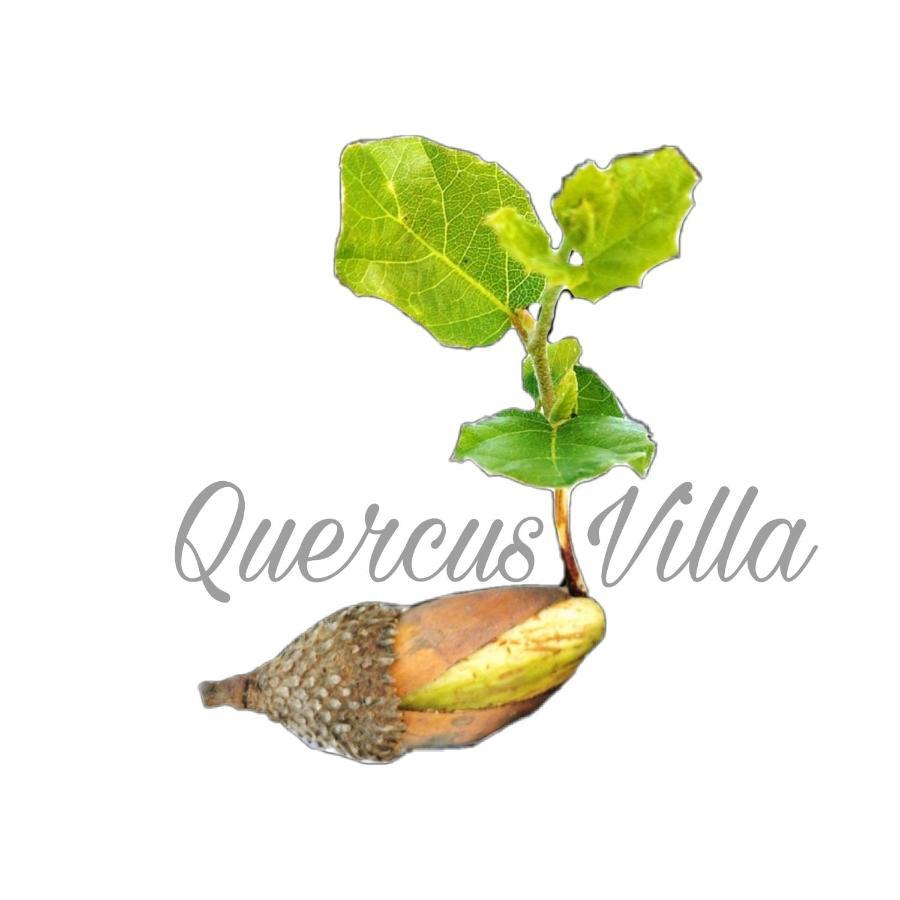 Quercus Villa Sesimbra Dış mekan fotoğraf